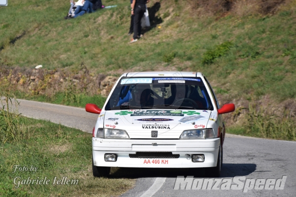 2° Rally del Piemonte (38)