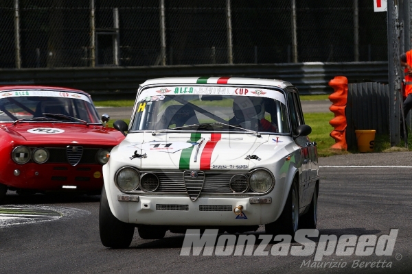 Alfa Revival Cup Monza (26)