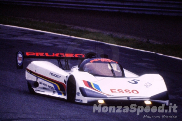 1000 Km Monza 1991 (16)