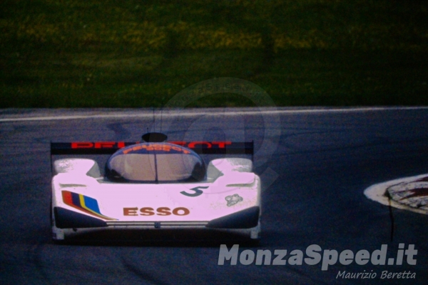 1000 Km Monza 1991 (19)