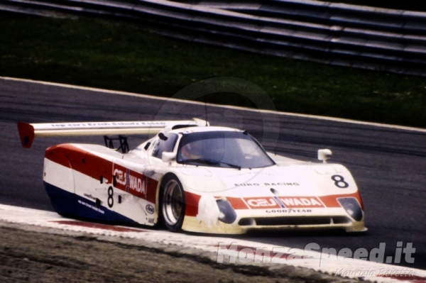 1000 Km Monza 1991 (1)