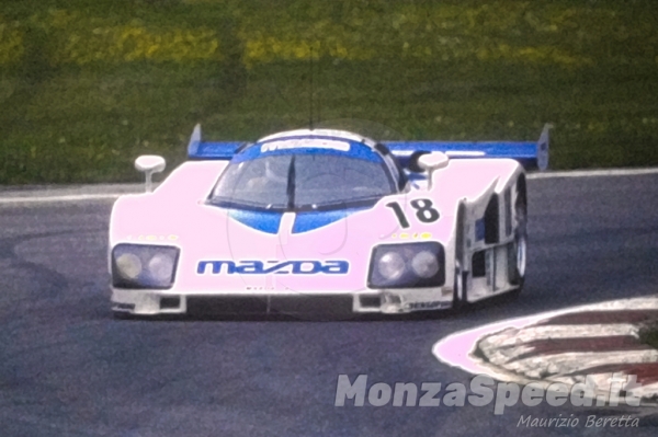 1000 Km Monza 1991 (23)