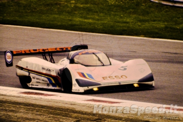 1000 Km Monza 1991 (3)