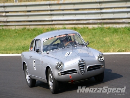Alfa Revaival Monza (6)