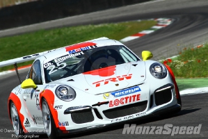 Test Porsche Supercup(20)