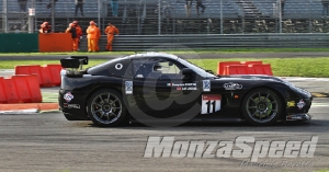 GT4 European Series  Ginetta G50 Cup Monza (118)