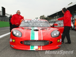 GT 4 European Series-Ginetta G50 Cup Monza (66)