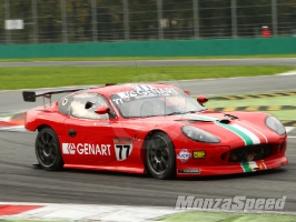 GT 4 European Series-Ginetta G50 Cup Monza (83)