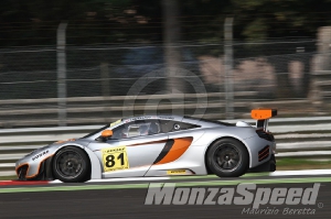 GT Open Monza 2014 (110)