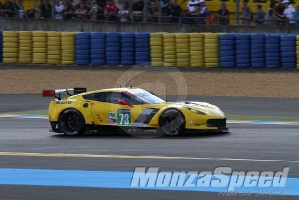 Le Mans 24 Hours  (107)