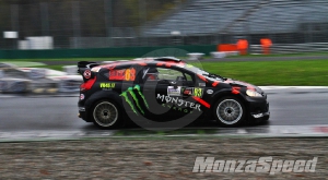 Monza Rally Show (3)