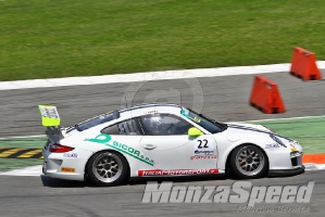Targa Tricolore Porsche Monza (13)