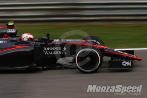 Formula 1 Monza .JPG  (10)