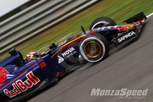 Formula 1 Monza .JPG  (12)