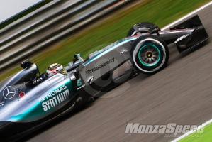 Formula 1 Monza .JPG  (13)