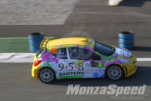 Monza Rally Show (4)