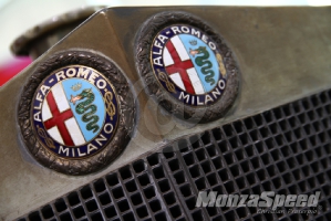 Museo Alfa Romeo 2015  (12)