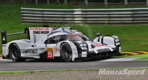 Porsche LMP1 Test Monza  (10)