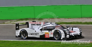Porsche LMP1 Test Monza  (4)