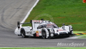 Porsche LMP1 Test Monza  (5)