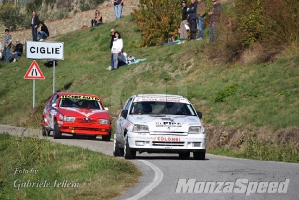 2° Rally del Piemonte (10)