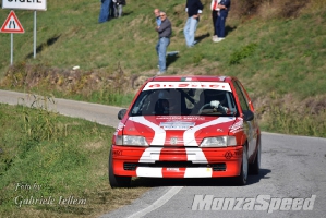 2° Rally del Piemonte (19)