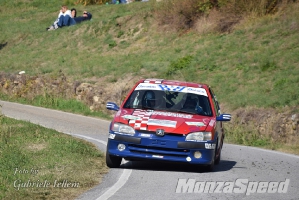 2° Rally del Piemonte (27)