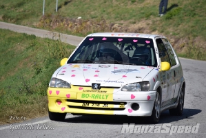 2° Rally del Piemonte (32)