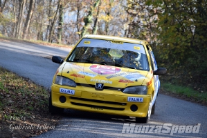 2° Rally del Piemonte (90)