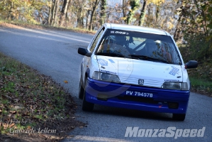 2° Rally del Piemonte (97)