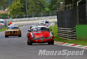 Alfa Revival Cup Monza (33)