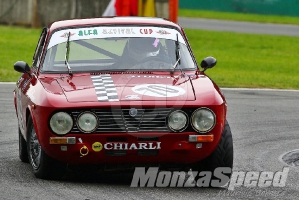 Alfa Revival Cup Monza (48)