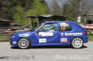 Dolomiti Rally Day (12)
