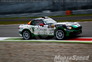 Monza Rally Show (331)