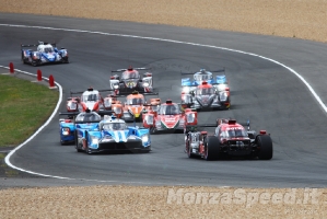 24h Le Mans  (85)