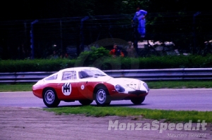 Autostoriche Monza 1987 (60)