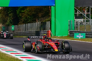 F1 Monza sabato 2023 (21)