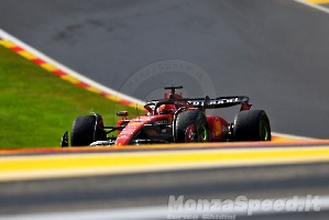 F1 Gp Belgio Venerdi  2023 (15)