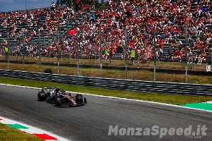 F1 Monza venerdi 2023 (21)