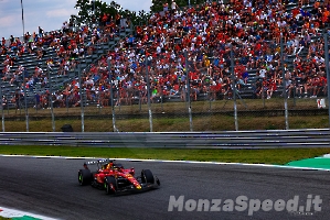 F1 Monza venerdi 2023 (45)