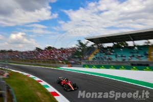 F1 Monza venerdi 2023 (48)