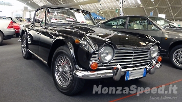 Auto Collection 2024 (16)