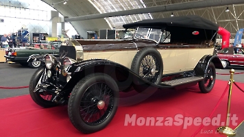 Auto Collection 2024 (1)