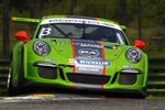 DINAMIC PRONTA ALLA SFIDA 2015 NELLA PORSCHE CARRERA CUP ITALIA E SEAT LEON CUP