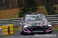 monza_rally_show_135_20171207_1123046941