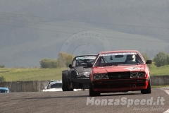 autostoriche_mugello_46_20190421_1170976025