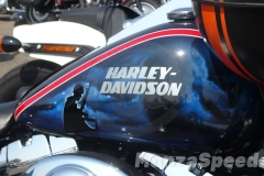 hills_race_16_paddock_55_20190915_1309329170