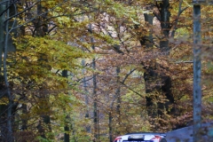 rally_di_como_2021_198_20211025_1441356858