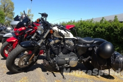 riding_season_2022_129_20220414_1738866849