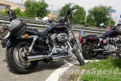 14_crazy_cruisin_2024_55_20240701_1215708059
